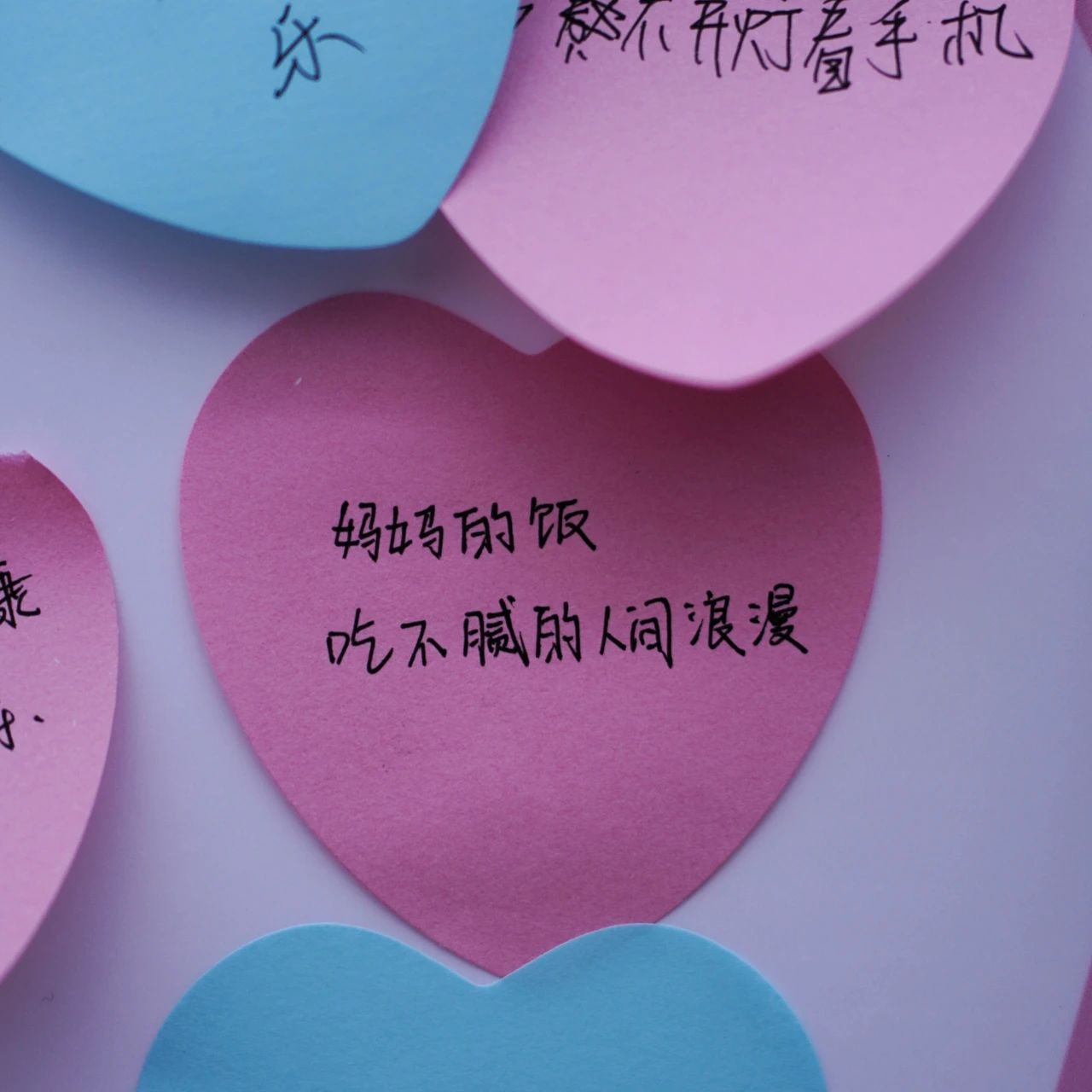 国产午夜福利十八禁在线观看